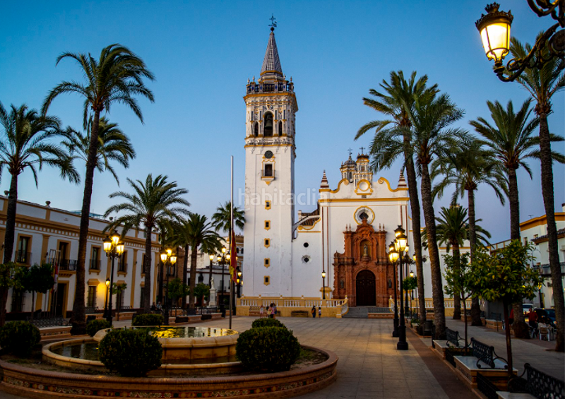 Foto 26ed60bb-a4a3-411a-b0f7-b62e400578bc. Pis a Palma del Condado (La)