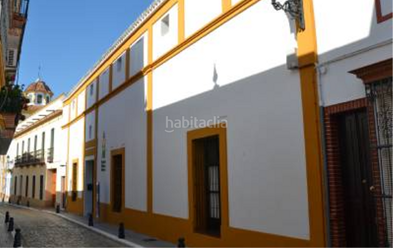 Foto 4130a68d-18d2-40b5-800b-ae58b2edf800. Pis a Palma del Condado (La)