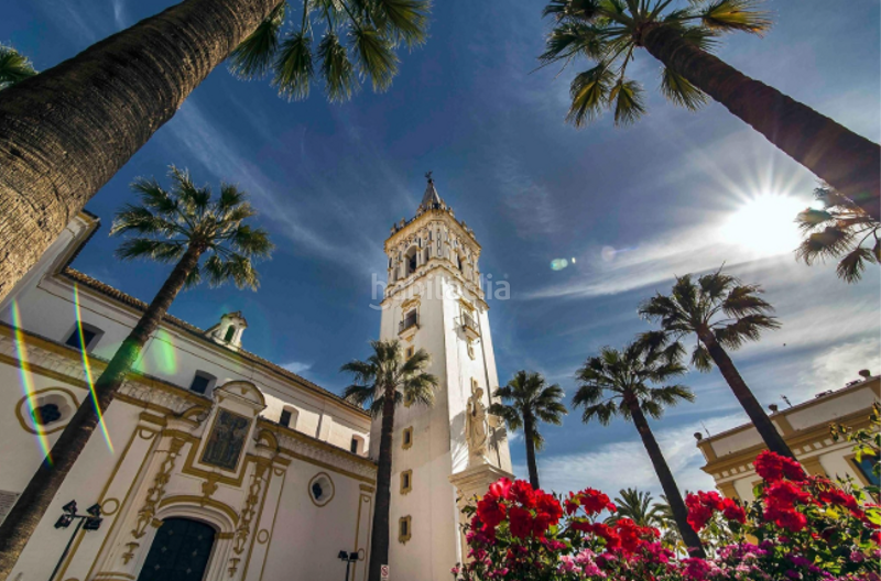 Foto 6f3a92bd-cac3-446b-a60a-97db0ac09c01. Pis a Palma del Condado (La)