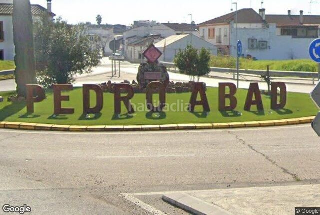 Foto 3f191b22-a224-4e4d-bf7c-934e8bd5ae3f. Chalet en Pedro Abad