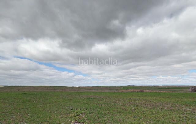 Foto 0d44f42a-131e-479b-9205-e6bbed230571. Xalet a Palomeque