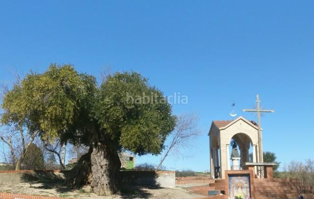 Foto cfbf8ec9-4501-44cb-ac29-ed762bd6135f. Xalet a Palomeque