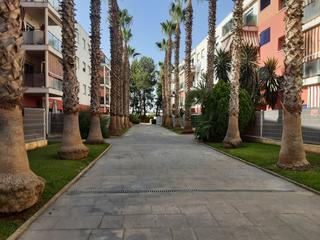 Appartement  Av naranjos de los  bl: