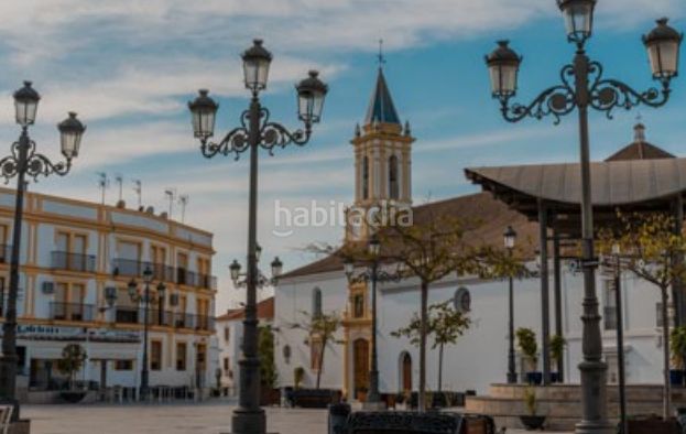 Foto aac2a401-06ba-4946-8402-6bb29569df17. Pis a Cartaya