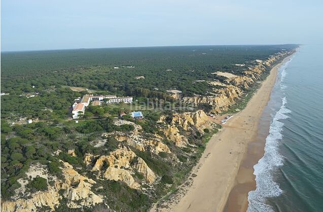 Foto 4a63a05e-abba-4377-ace9-72208b491021. Piso en Almonte Almonte