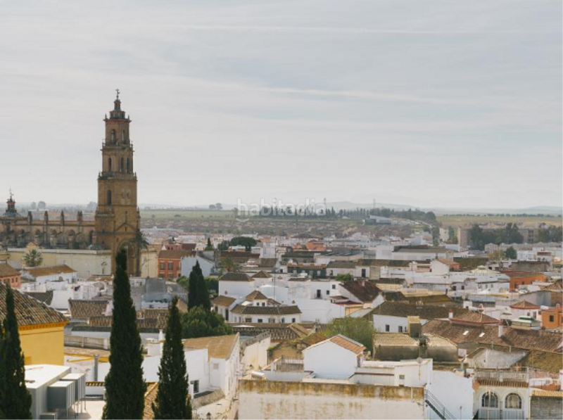 Foto 2d63ddda-1871-44aa-8db6-d3740c901c2d. Appartement dans Estación - La Fontanilla - El Tinte Utrera