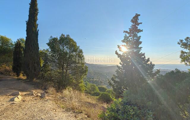 Foto 0708eab1-06e1-41f7-8296-89a746b7e380. Pis a Santa Maria-Terra Nostra Montcada i Reixac