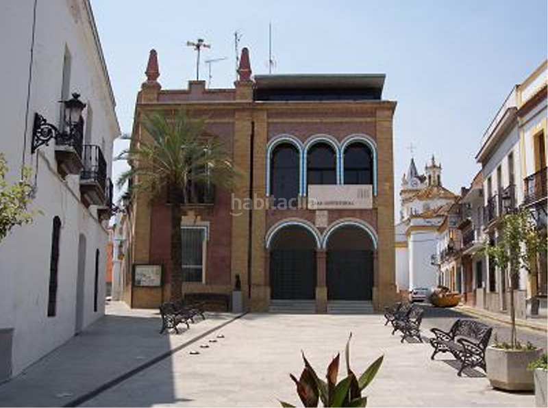 Foto 6a23f7bc-5e42-4763-82c4-b20d0b914b85. Pis a Bonares