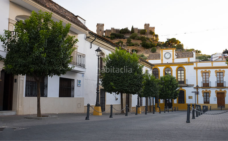 Foto 482b87a1-8a06-4cd1-a796-16d9745f4d93. Maison jumelée dans Almodóvar del Río