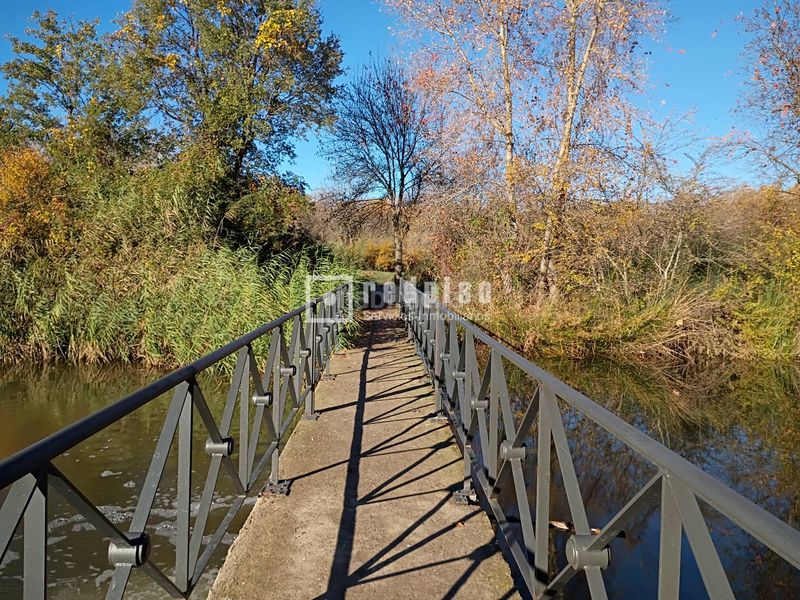 Foto 6aa0579a-bf16-4988-b1f8-63a6b4ea470d. Xalet amb calefacció aparcament piscina a Uceda