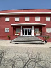 Estudi a Haygon-Universidad. Estudio en san vicente