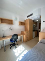 Estudi a Haygon-Universidad. Estudio en san vicente