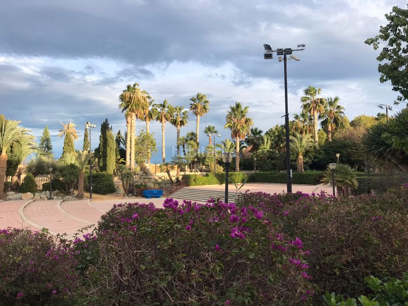 Foto 1bff5242-24be-408b-9ee4-b21994584b6c. Àtic amb aparcament a Centro Mutxamel