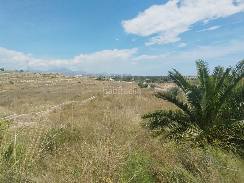 Foto 40a980f1-b42b-4f12-b5fd-b7c2798ac394. Finca rústica a La Huerta Mutxamel