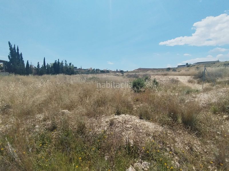 Foto 5ebe238d-e7d5-48e0-94e1-b0c40ae00144. Finca rústica a La Huerta Mutxamel