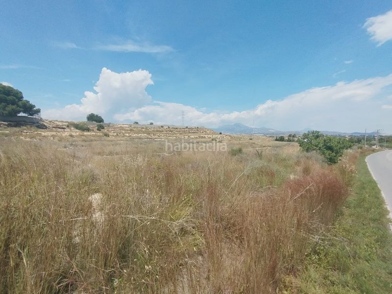 Foto c50c91a6-acb8-4543-a910-08dd87f93488. Finca rústica a La Huerta Mutxamel