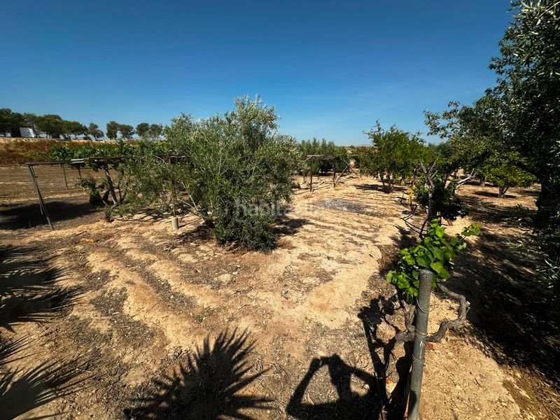 Foto 006b1d64-486b-45d5-b62f-1b5ca7fbbe89. Finca rústica a Villamontes-Boqueres Sant Vicent del Raspeig