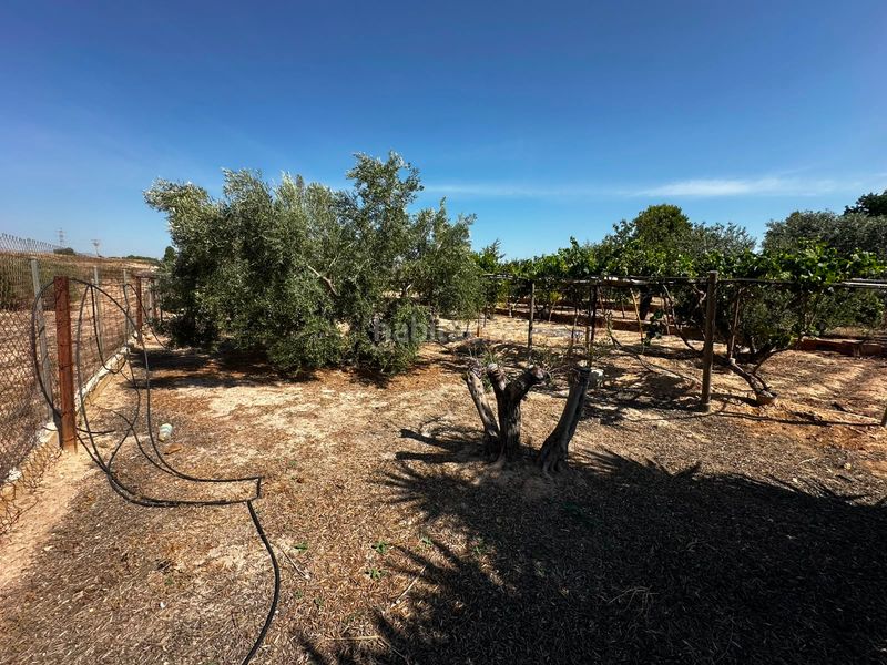 Foto 2756f0b4-3d7c-4561-9f11-ca933eb932a5. Finca rústica a Villamontes-Boqueres Sant Vicent del Raspeig