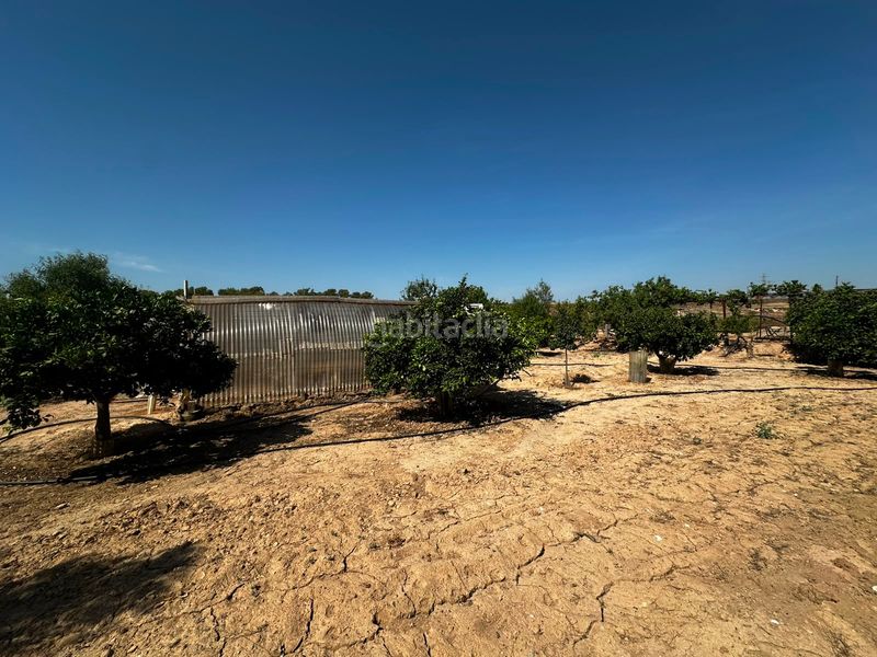 Foto 56a139d0-389f-49fb-a06b-2dd7e7ae4971. Finca rústica a Villamontes-Boqueres Sant Vicent del Raspeig