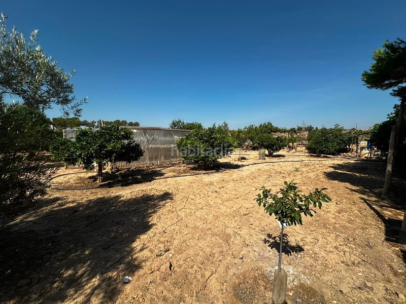 Foto 5bb60850-534b-45b6-b416-c42830b0a6d1. Finca rústica a Villamontes-Boqueres Sant Vicent del Raspeig