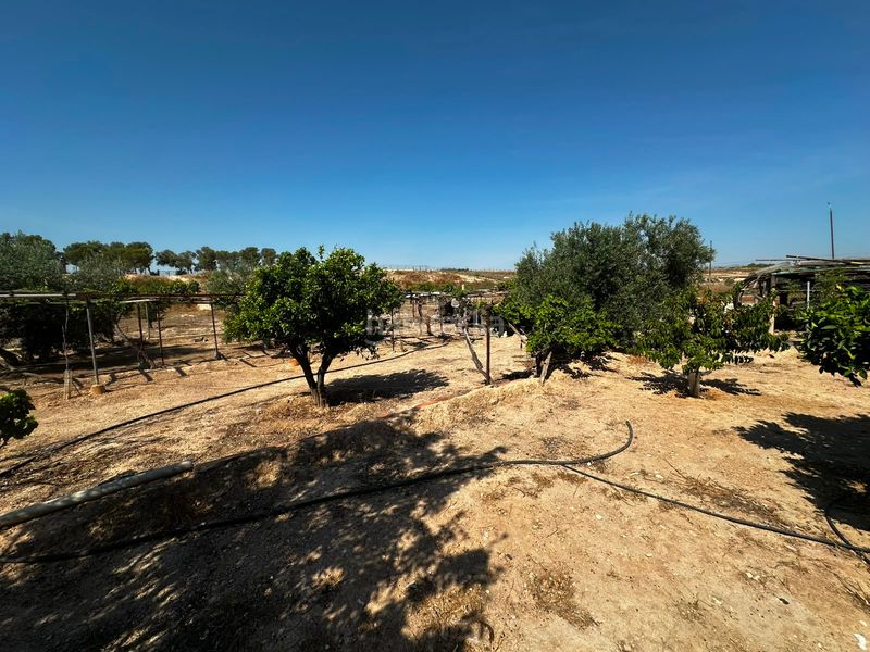 Foto a6cf27bb-25c2-481c-ad1b-70bb3a40826a. Finca rústica a Villamontes-Boqueres Sant Vicent del Raspeig