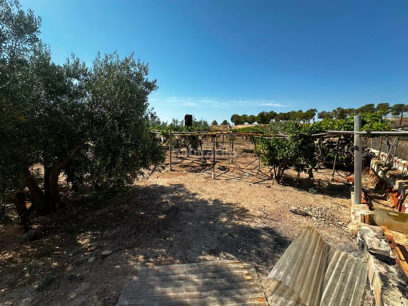 Foto b7dfa457-851f-4e73-88ab-3b7c1a19e1e5. Finca rústica a Villamontes-Boqueres Sant Vicent del Raspeig