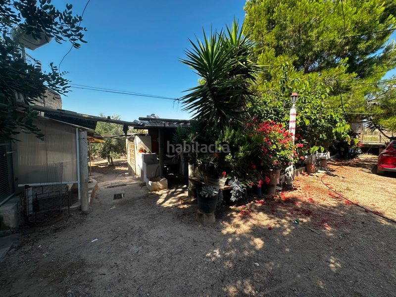 Foto ec74a020-1fb9-4008-865f-579518cb4fbd. Finca rústica a Villamontes-Boqueres Sant Vicent del Raspeig