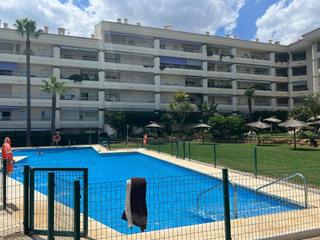 Location Studio à La Carolina - Guadalpín. Alquiler de estudio en milla de oro