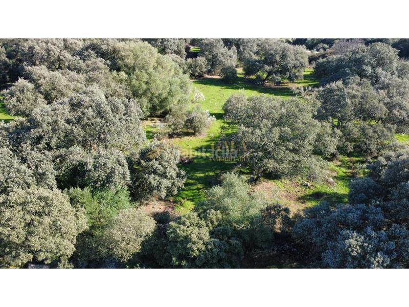 Foto 0cb9700a-01df-456f-b768-7e683b168565. Casa a Montánchez