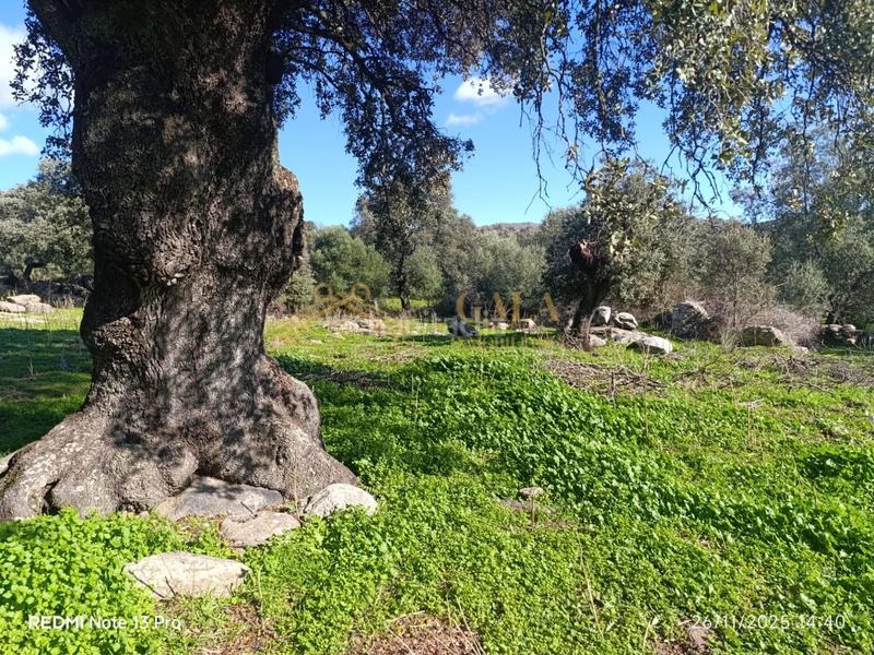 Foto 1b9f2737-786c-4001-ab9b-ed7502287517. Casa a Montánchez