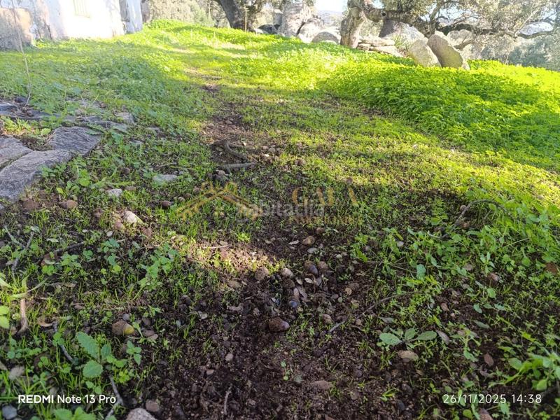 Foto 2ab28bd0-95df-480c-b474-3bffbb366b5e. Casa a Montánchez