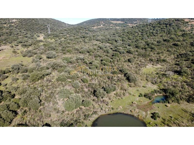 Foto 2f039360-03cc-4877-94fe-8cfb5ae61d1f. Casa a Montánchez