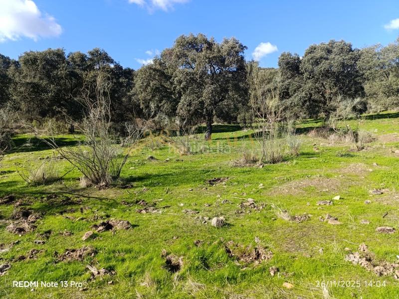 Foto 3b7b1056-8de6-44a2-9453-642c8e440642. Casa a Montánchez