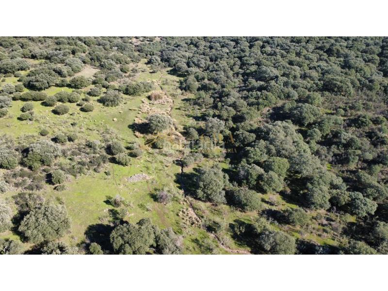 Foto 46cddd5c-2ca0-4105-8c2d-403e51bcc8b7. Casa a Montánchez