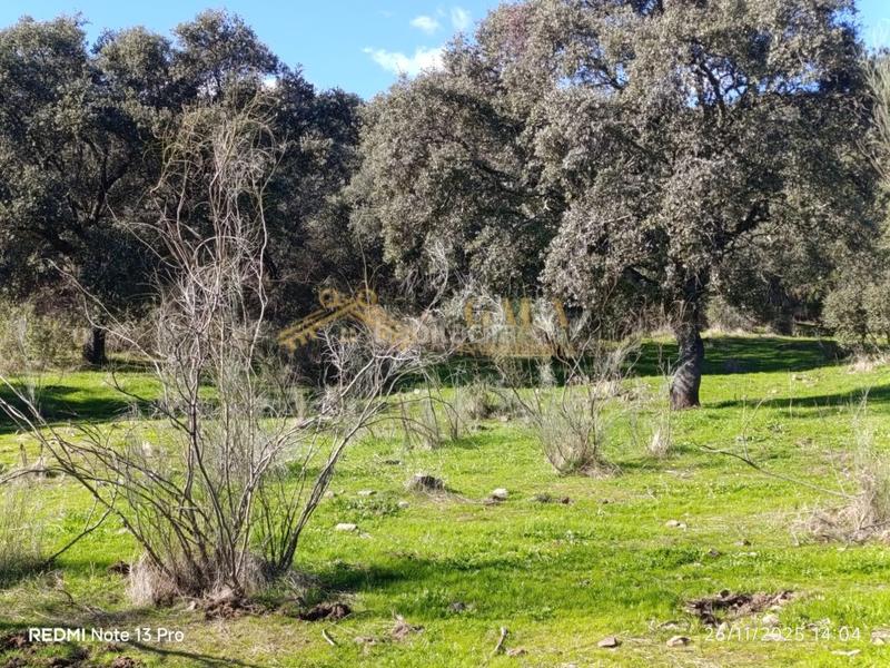 Foto 4e546c13-ea1c-402a-89ff-ccafe11629eb. Casa a Montánchez