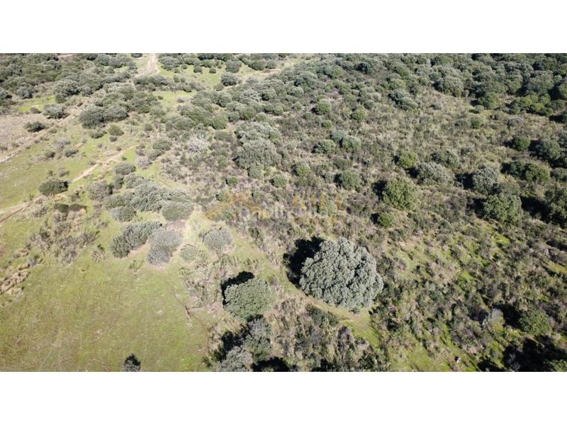 Foto 55a06e37-9e1a-40b9-a02c-cda75b21d188. Casa a Montánchez