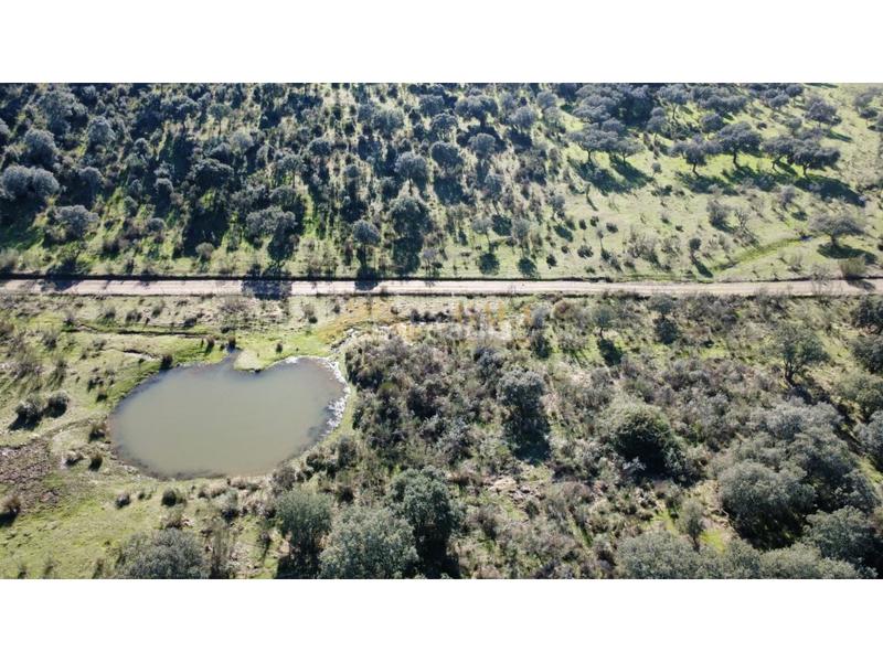 Foto 8256fa5e-2871-473d-ba62-c755820d13d1. Casa a Montánchez