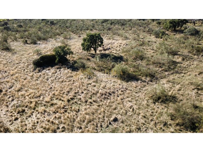 Foto 88612f2d-22e3-4bbd-81f3-78b309409c93. Casa a Montánchez