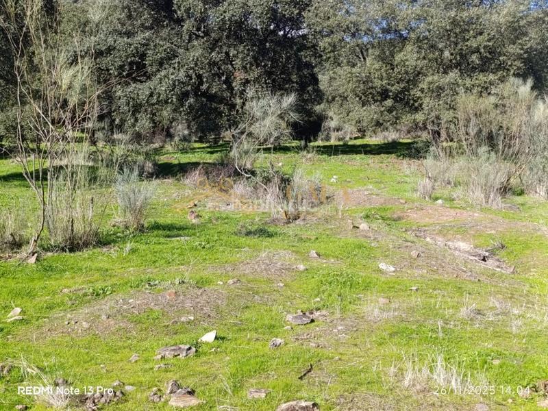 Foto 8af18516-9086-482a-9d96-1501c90f100c. Casa a Montánchez