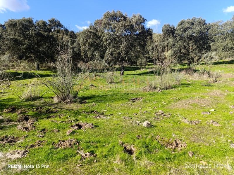 Foto 9afb5deb-d6e8-4f2c-9cfc-b2c5c1daf21f. Casa a Montánchez