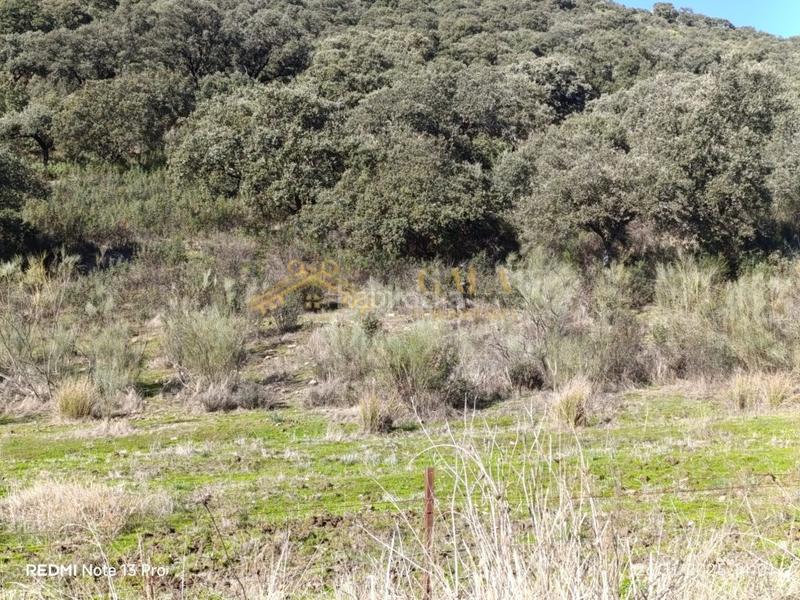 Foto a114281c-52a2-4ab7-9600-2379034171b7. Casa a Montánchez