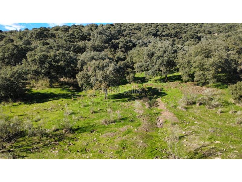 Foto bbfb4b5c-2653-4155-8272-ee62ecc93f2b. Casa a Montánchez