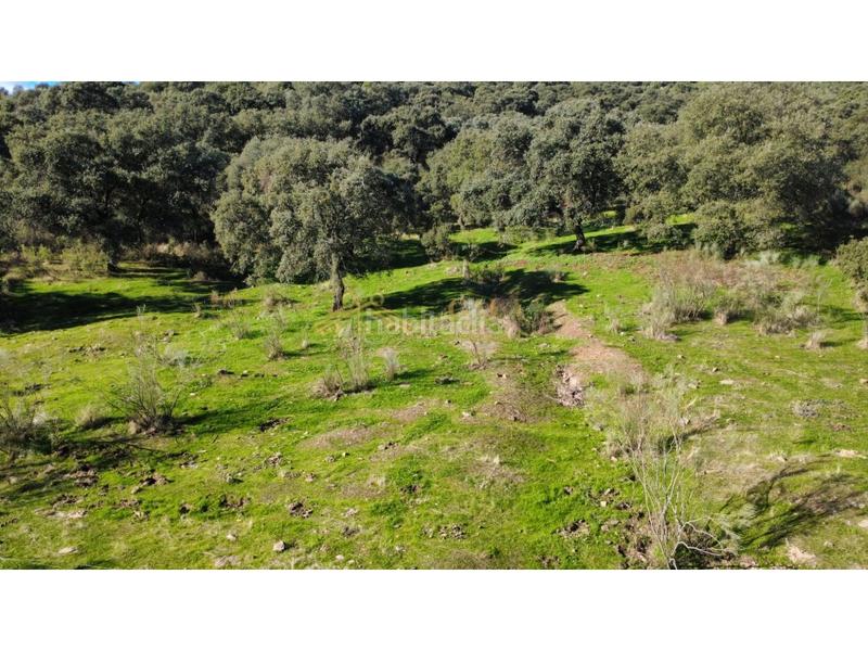 Foto bdae95e2-496b-466a-87d7-ceff23fd6dba. Casa a Montánchez