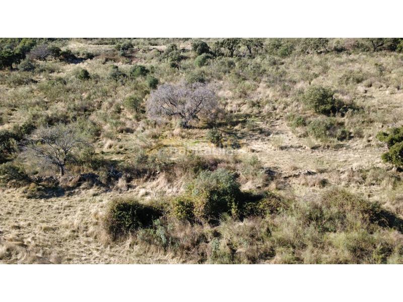 Foto d22e44bb-7548-4d49-9b3f-a8665e5c28cc. Casa a Montánchez