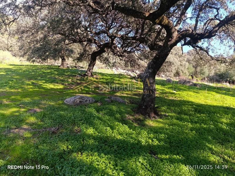 Foto ea414873-1537-47b7-9e0c-f65ef5e8f3b7. Casa a Montánchez