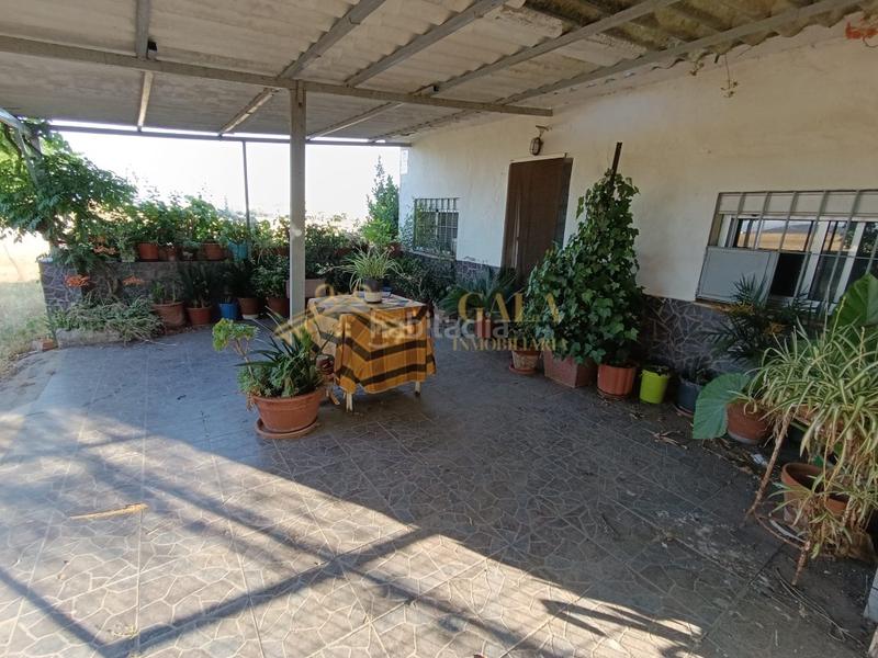 Foto 234a55ce-1b39-4f58-8c39-5bc6562b4f50. Country house with parking in Campus Universitario Cáceres