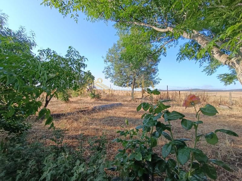 Foto 241cbc92-c385-4063-bad5-c0e73de2dd34. Country house with parking in Campus Universitario Cáceres