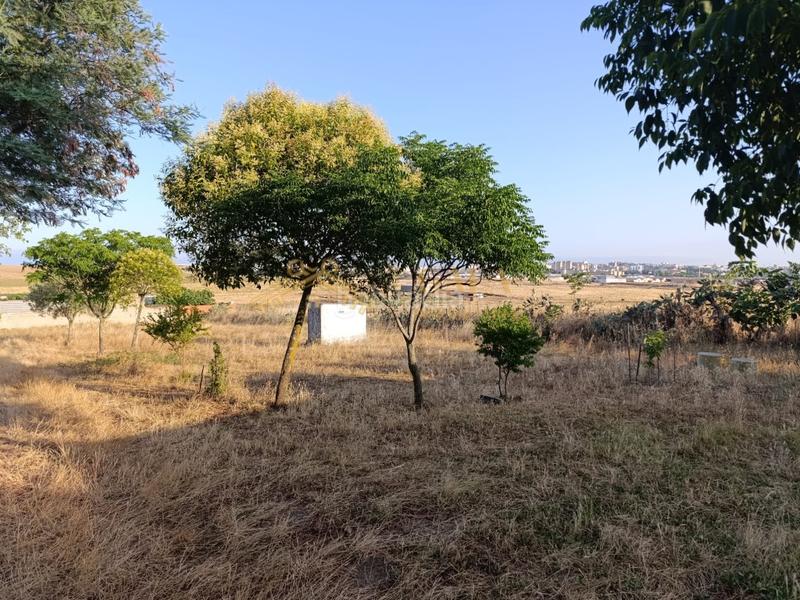 Foto 9173d100-3bc1-469f-8a0a-4c0f73bde3b7. Country house with parking in Campus Universitario Cáceres