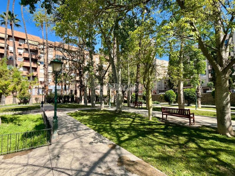 Foto 48c6acba-781c-43c6-b6a2-b07551a0ae8c. Pis a El Carmen Murcia