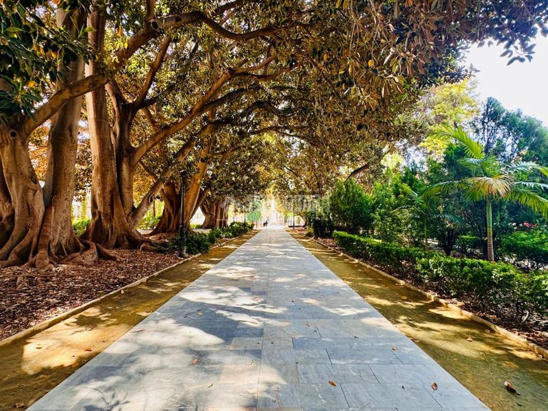 Foto 7c6d9183-0d09-45cd-8236-6603ba73cd4c. Pis a El Carmen Murcia